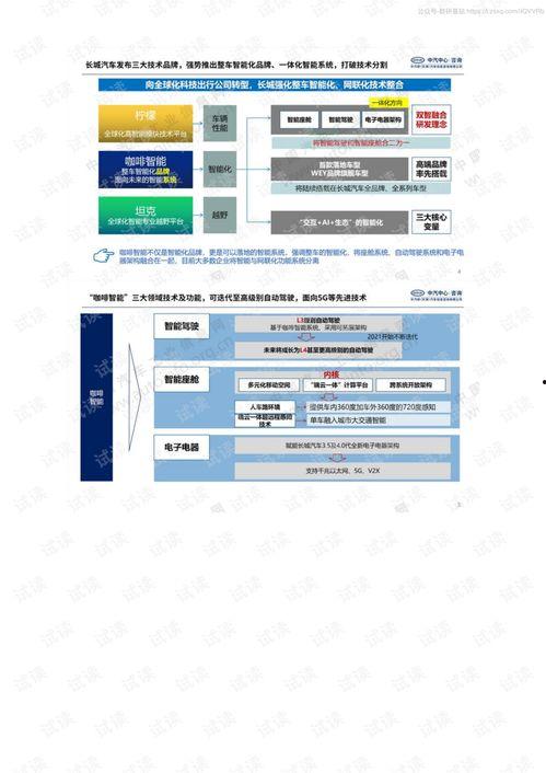 国产16页,揭秘我国创新科技发展新篇章  第2张